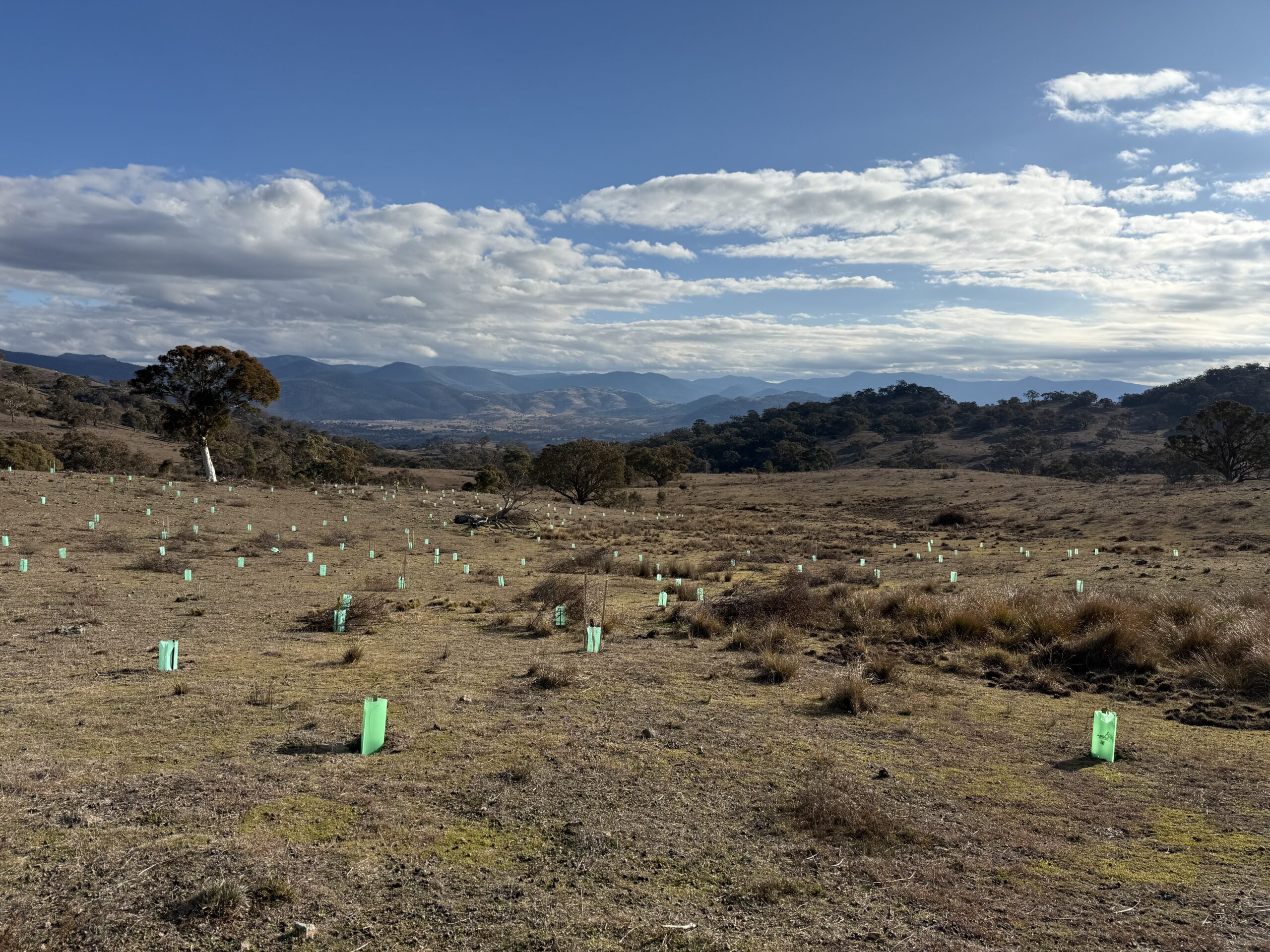 Restoration Principles